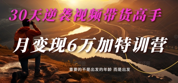 30天逆袭视频带货高手，单月变现6万加特训营-麦子甜-苍穹网创