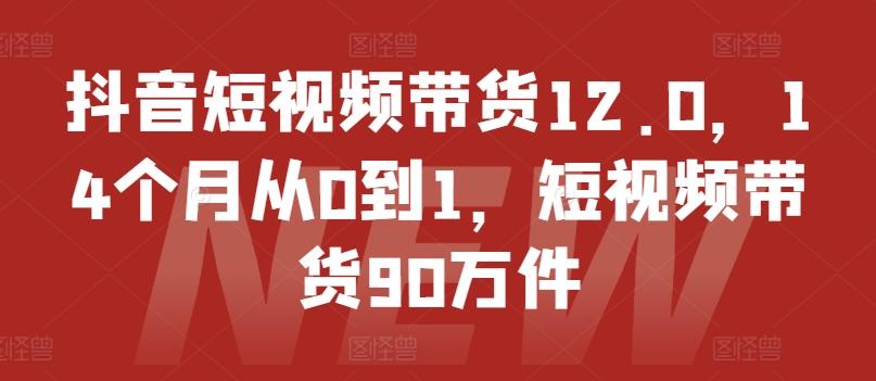 抖音短视频带货12.0，14个月从0到1，短视频带货90万件-苍穹网创