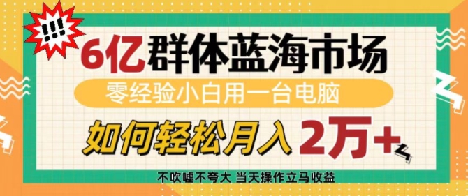 6亿群体蓝海市场，零经验小白用一台电脑，如何轻松月入过w【揭秘】-苍穹网创