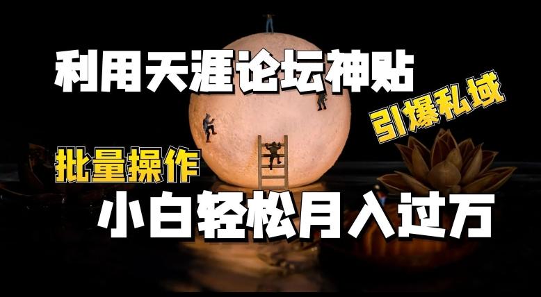 利用天涯论坛神贴，引爆私域，批量操作，小白轻松月入过w【揭秘】-苍穹网创