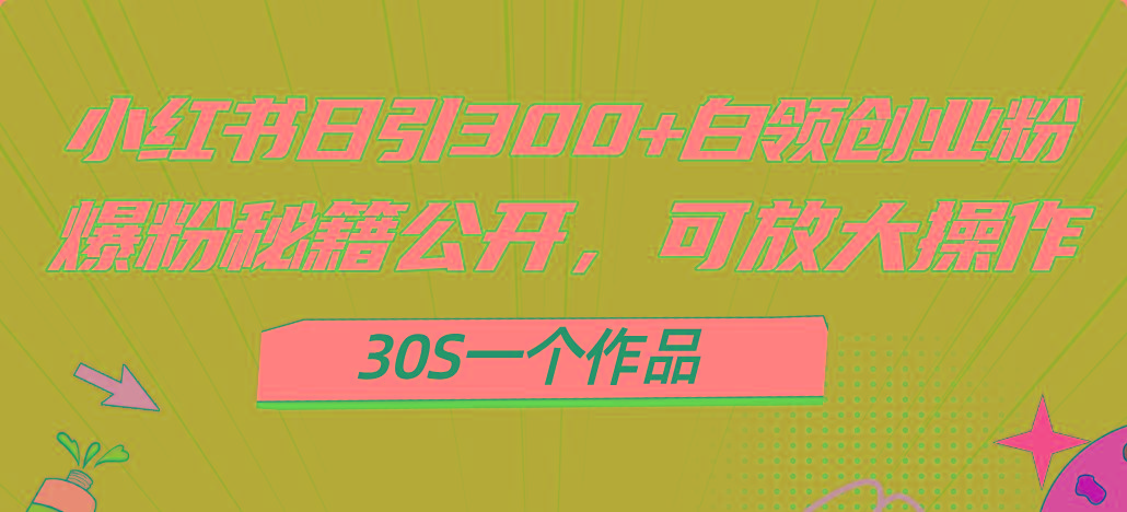 小红书日引300+高质白领创业粉，可放大操作，爆粉秘籍！30s一个作品-苍穹网创