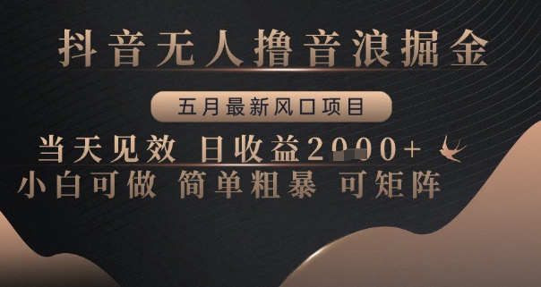抖音无人撸音浪掘金，五月最新风口项目，当天见效，日收益多张，小白可做简单粗暴可矩阵【揭秘】-苍穹网创
