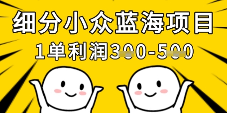 细分小众蓝海项目，一单利润3张，每月收入稳定过1w+-苍穹网创