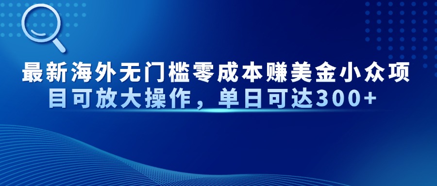 最新海外无门槛零成本赚美金小众项目可放大操作，单日可达300+-苍穹网创