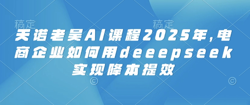 天诺老吴AI课程2025年，电商企业如何用deeepseek实现降本提效-苍穹网创