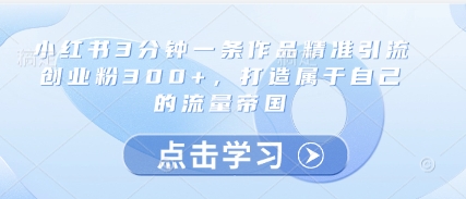 小红书3分钟一条作品精准引流创业粉300+，打造属于自己的流量帝国-苍穹网创