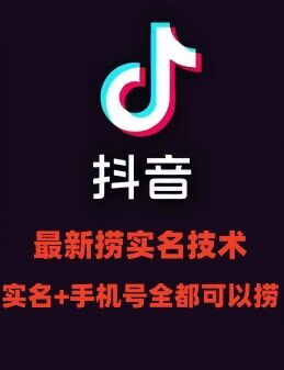 最新技术抖音捞实名+捞手机号技术，抖音直播封禁释放十名/手机号，直接替换出来!-苍穹网创