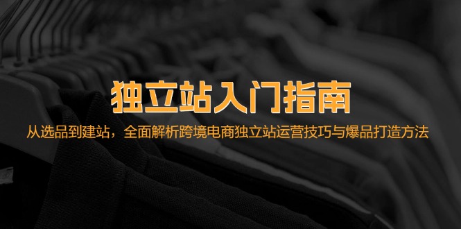 独立站入门指南：从选品到建站，全面解析跨境电商独立站运营技巧与爆品…-苍穹网创