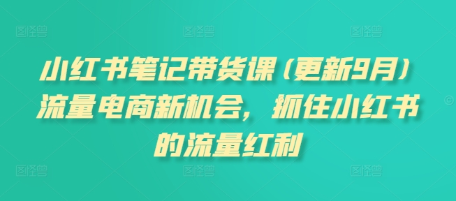 小红书笔记带货课(更新25年4月)流量电商新机会，抓住小红书的流量红利-苍穹网创
