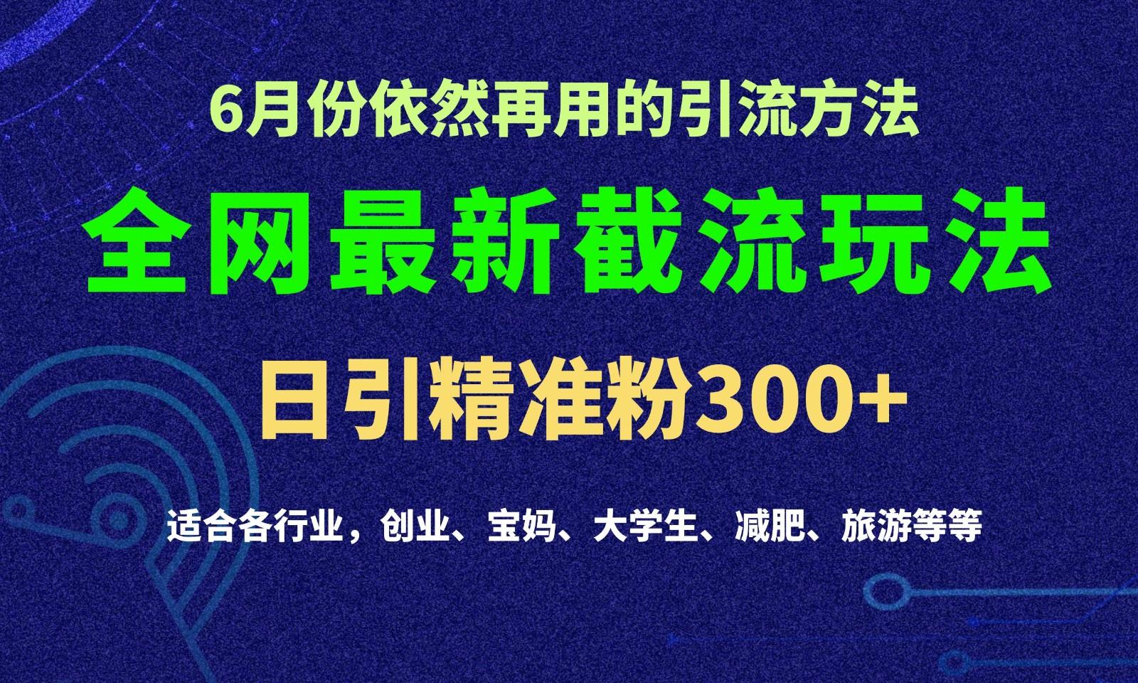 2024全网最新截留玩法，每日引流突破300+-苍穹网创