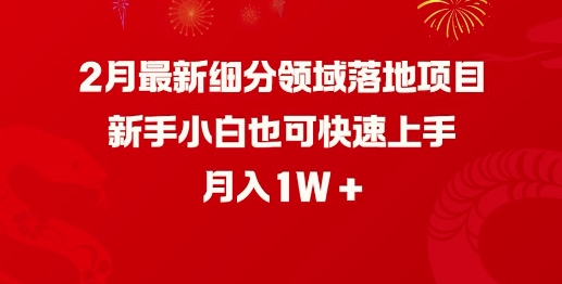 2月最新细分领域落地项目，新手小白也可快速上手，月入1W-苍穹网创