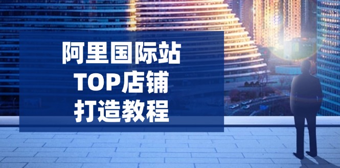 阿里国际站TOP店铺打造教程：涵盖平台到高阶，解决运营难题，提升询盘-苍穹网创