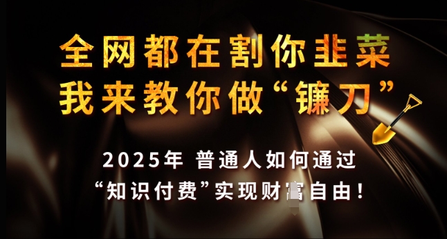 全网都在割你韭菜，我来教你做镰刀，2025年普通人如何通过 知识付费 实现财F自由【揭秘】-苍穹网创