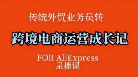 跨境电商速卖通运营课，​运营方法论+后台实操，逻辑清晰-苍穹网创
