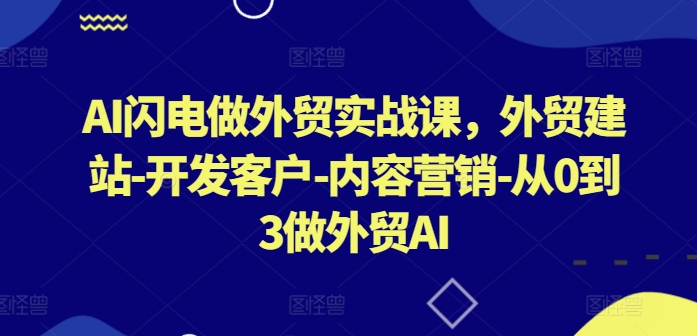 AI闪电做外贸实战课，​外贸建站-开发客户-内容营销-从0到3做外贸AI(更新)-苍穹网创