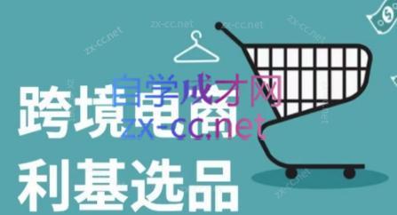 阿甘·2024年跨境电商选品案例(更新)-苍穹网创