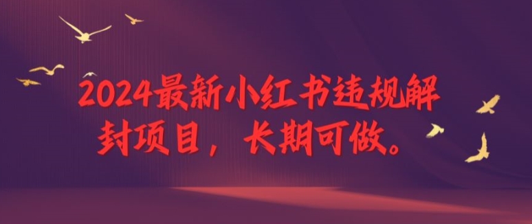 2024最新小红书违规解封项目，长期可做，一个可以做到退休的项目【揭秘】-苍穹网创