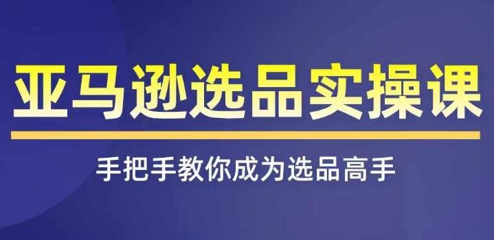 亚马逊选品实操课程，快速掌握亚马逊选品的技巧，覆盖亚马逊选品所有渠道-苍穹网创