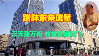 蹭胖东来流量，三天涨万粉，收益直接起飞-苍穹网创
