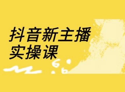 抖音新主播实操课，直播间流量运营线上实操课(18节)-苍穹网创