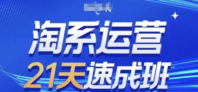 淘系运营21天速成班(更新24年6月)，0基础轻松搞定淘系运营，不做假把式-苍穹网创