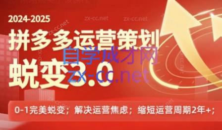 大力老师·2024拼多多运营策略蜕变3.0-苍穹网创
