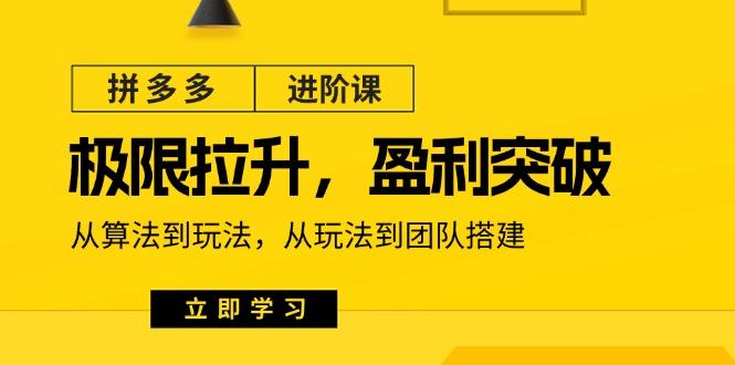 拼多多·进阶课：极限拉升/盈利突破：从算法到玩法 从玩法到团队搭建-18节-苍穹网创
