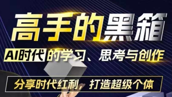 高手的黑箱：AI时代学习、思考与创作-分红时代红利，打造超级个体-苍穹网创