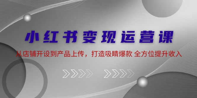 小红书变现运营课：从店铺开设到产品上传，打造吸睛爆款 全方位提升收入-苍穹网创