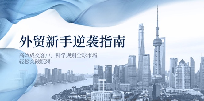 外贸新手逆袭指南：高效成交客户，科学规划全球市场，轻松突破瓶颈-苍穹网创
