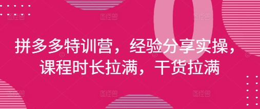 拼多多特训营，经验分享实操，课程时长拉满，干货拉满(更新25年4月)-苍穹网创