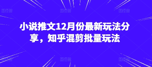 小说推文12月份最新玩法分享，知乎混剪批量玩法-苍穹网创
