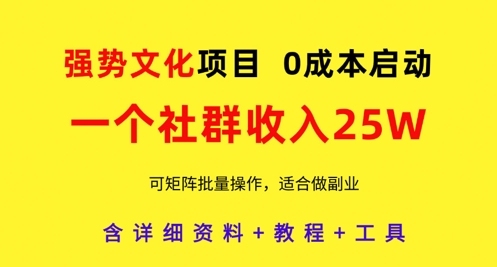 强势文化项目，一个社群收入25个W，0成本启动，可矩阵批量操作，原创详细实操教程-苍穹网创