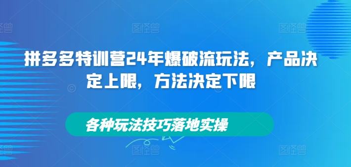 拼多多特训营24年爆破流玩法，产品决定上限，方法决定下限，各种玩法技巧落地实操-苍穹网创