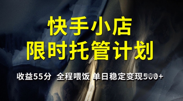 快手小店限时托管计划，收益55分，全程喂饭，单日稳定变现5张【揭秘】-苍穹网创