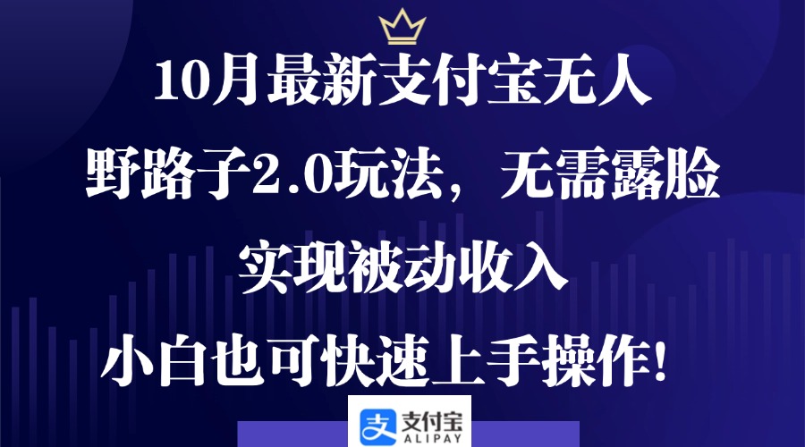 10月最新支付宝无人野路子2.0玩法，无需露脸，实现被动收入，小白也可…-苍穹网创