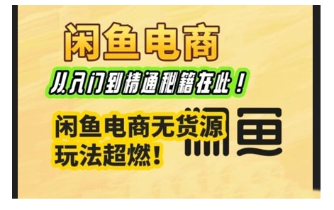 闲鱼电商实战课，从入门到精通秘籍在此，闲鱼电商无货源玩法超燃!-苍穹网创