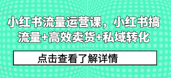 小红书流量运营课，小红书搞流量+高效卖货+私域转化-苍穹网创