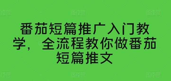 番茄短篇推广入门教学，全流程教你做番茄短篇推文-苍穹网创