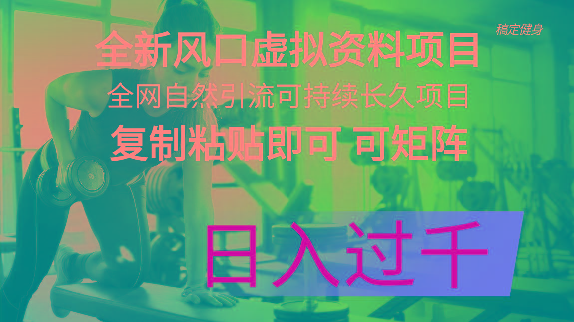 全新风口虚拟资料项目 全网自然引流可持续长久项目 复制粘贴即可可矩阵…-苍穹网创