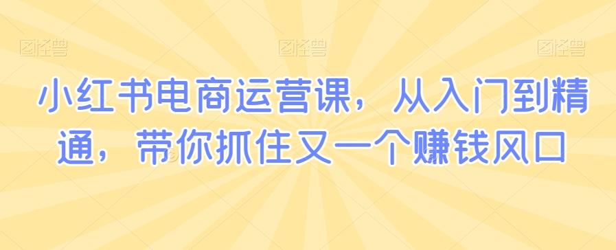 小红书电商运营课，从入门到精通，带你抓住又一个赚钱风口-苍穹网创