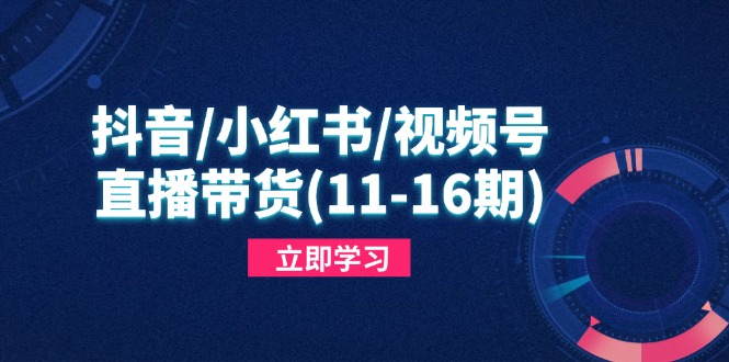 抖音/小红书/视频号/直播带货(11-16期-苍穹网创