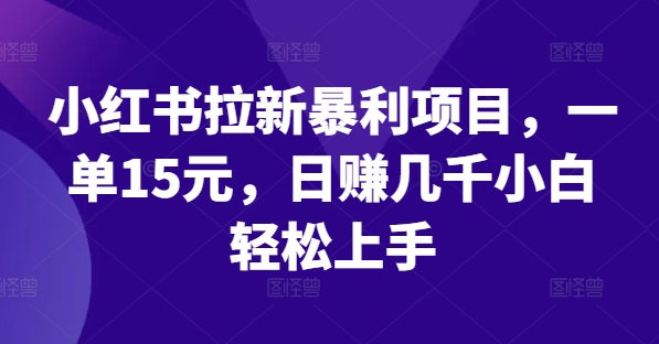 小红书拉新暴利项目，一单15元，日赚几千小白轻松上手【揭秘】-苍穹网创