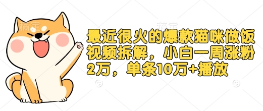 最近很火的爆款猫咪做饭视频拆解，小白一周涨粉2万，单条10万+播放(附保姆级教程)-苍穹网创