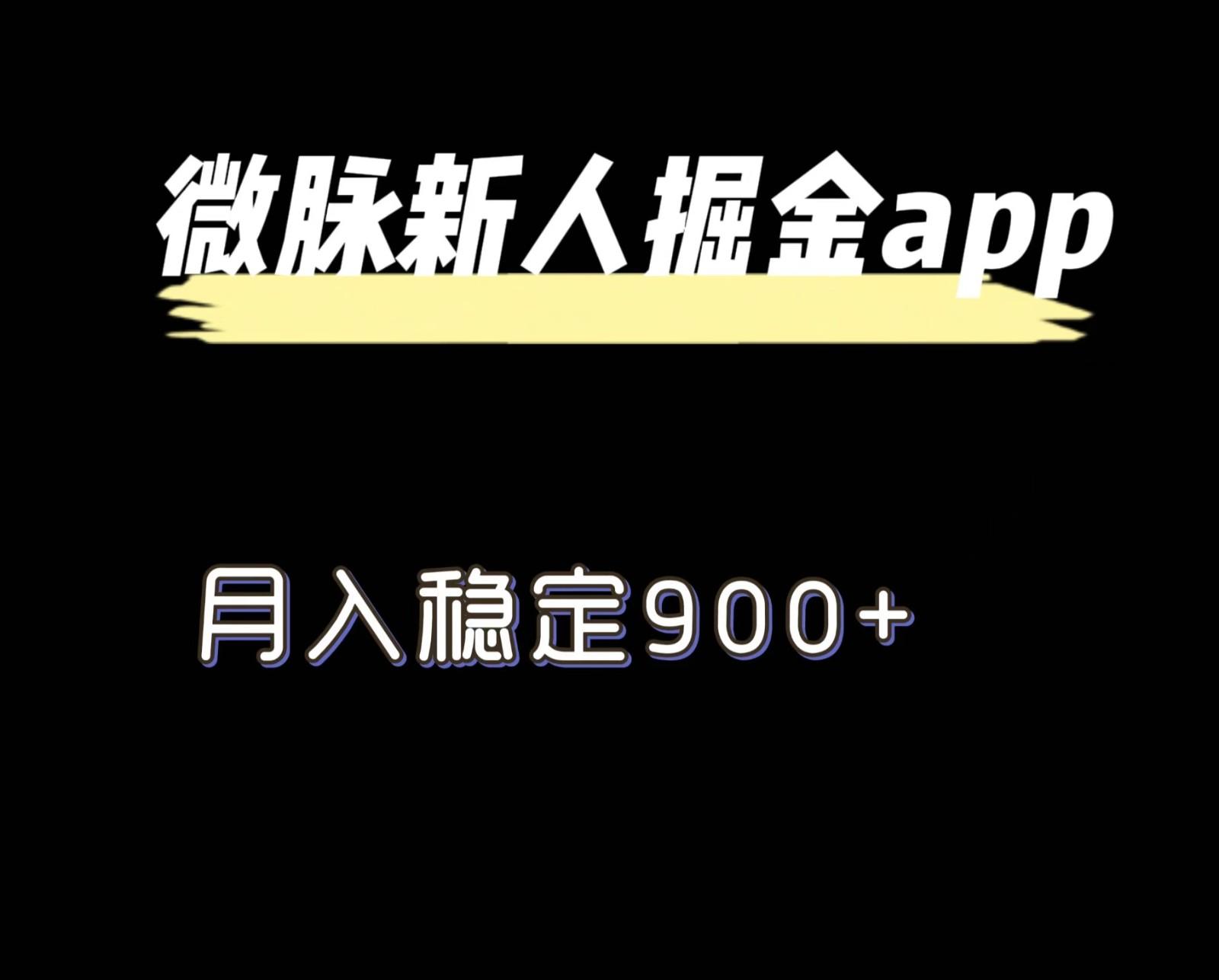 最新微脉长久项目，拉新掘金，月入稳定900+-苍穹网创