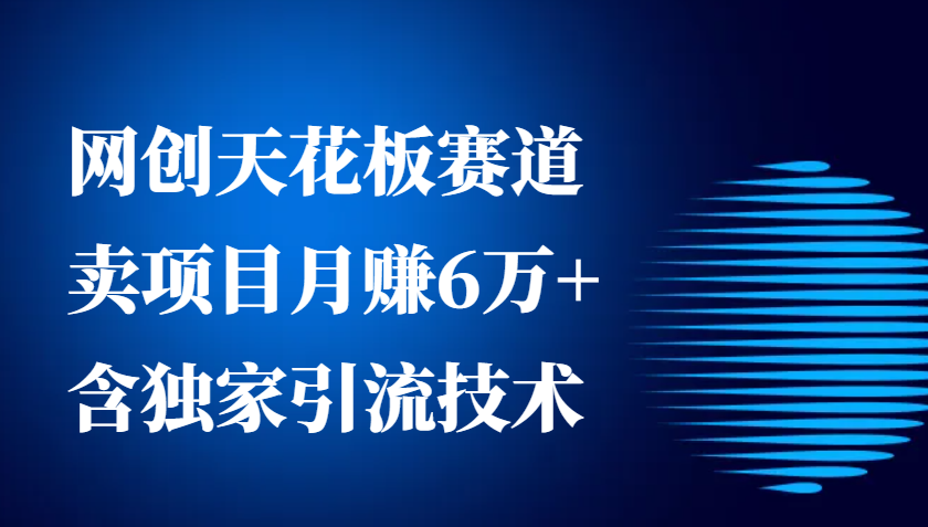 网创天花板赛道，卖项目月赚6万+，含独家引流技术(共26节课)-苍穹网创