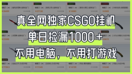 真全网独家CSGO挂G，单日捡漏1k+【揭秘】-苍穹网创