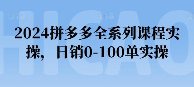 2024拼多多全系列课程实操，日销0-100单实操【必看】-苍穹网创