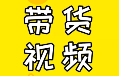 芒果老师·教你做抖音短视频和直播带货-苍穹网创