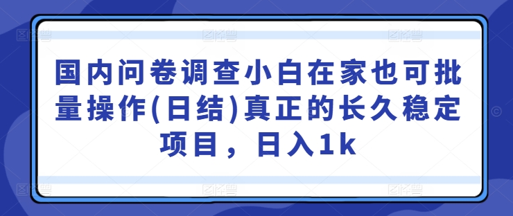 国内问卷调查小白在家也可批量操作(日结)真正的长久稳定项目，日入1k【揭秘】-苍穹网创